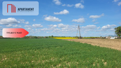 Działki Rolne Śmielin - Śmielin  -
Kujawsko-Pomorskie Zdjęcie nr 4