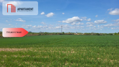 Działki Rolne Śmielin - Śmielin  -
Kujawsko-Pomorskie Zdjęcie nr 5