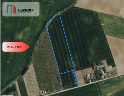 Działki Rolne Śmielin - Śmielin  -
Kujawsko-Pomorskie Zdjęcie nr 7