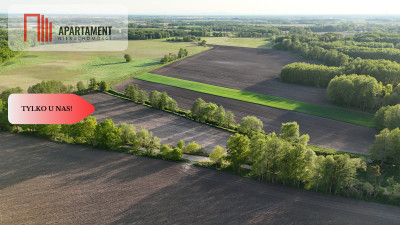 Duża Eko działka przy rzece i lesie - Brzezia Łąka  -
Dolnośląskie Zdjęcie nr 2