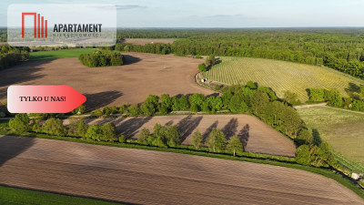 Duża Eko działka przy rzece i lesie - Brzezia Łąka  -
Dolnośląskie Zdjęcie nr 5