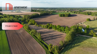 Duża Eko działka przy rzece i lesie - Brzezia Łąka  -
Dolnośląskie Zdjęcie nr 8