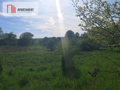 Działka budowlana w centrum Krzelowa - Krzelów  -
Dolnośląskie Zdjęcie nr 4