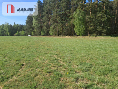 Działki rolne 206 ha  Górzna k Złotowa - Górzna  - Wielkopolskie