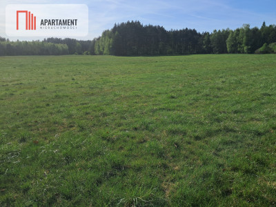 Działki rolne 206 ha  Górzna k Złotowa - Górzna  -
Wielkopolskie Zdjęcie nr 2