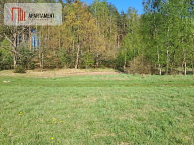 Działki rolne 206 ha  Górzna k Złotowa - Górzna  -
Wielkopolskie Zdjęcie nr 3