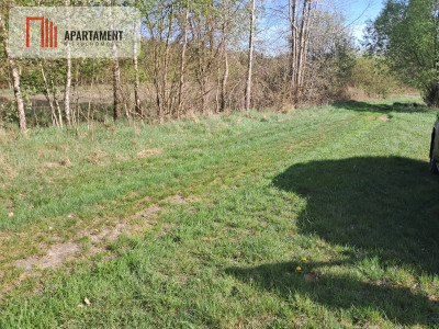 Działki rolne 206 ha  Górzna k Złotowa - Górzna  -
Wielkopolskie Zdjęcie nr 5