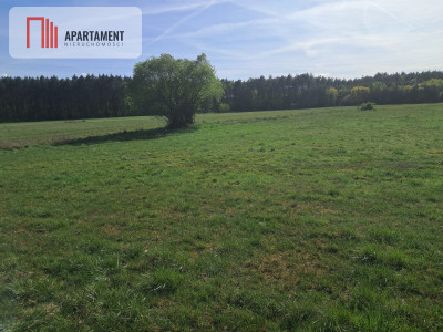 Działki rolne 206 ha  Górzna k Złotowa - Górzna  -
Wielkopolskie Zdjęcie nr 6