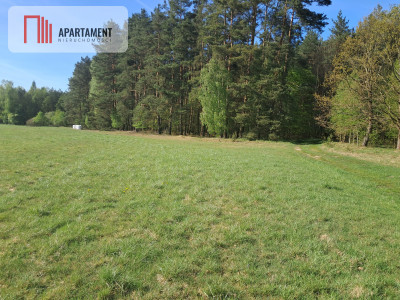 Działki rolne 206 ha  Górzna k Złotowa - Górzna  -
Wielkopolskie Zdjęcie nr 7