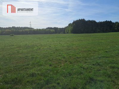 Działki rolne 206 ha  Górzna k Złotowa - Górzna  -
Wielkopolskie Zdjęcie nr 9