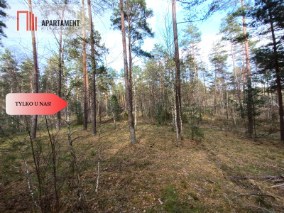 Tylko u nas Las z brzozami sosnami i stawem - Czarne  -
Pomorskie Zdjęcie nr 4