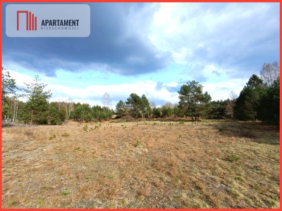 Tylko u nas Działka-cisza natura i potencjał - Czarne  - Pomorskie