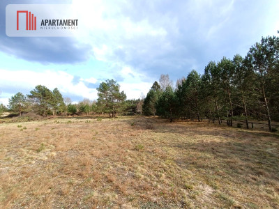 Tylko u nas Działka-cisza natura i potencjał - Czarne  -
Pomorskie Zdjęcie nr 2