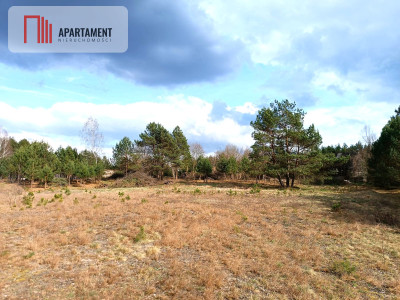 Tylko u nas Działka-cisza natura i potencjał - Czarne  -
Pomorskie Zdjęcie nr 3