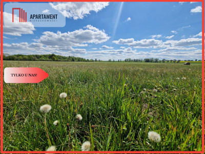 Łąki w cichej okolicy Okazyjna cena - Dąbrówka  -
Kujawsko-Pomorskie Zdjęcie nr 11