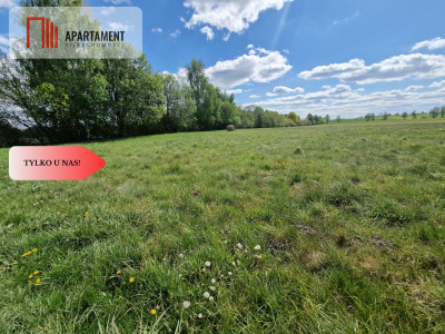 Łąki w cichej okolicy Okazyjna cena - Dąbrówka  -
Kujawsko-Pomorskie Zdjęcie nr 12