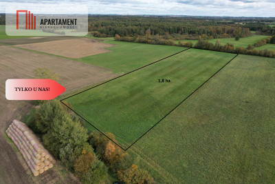 Łąki w cichej okolicy Okazyjna cena - Dąbrówka  -
Kujawsko-Pomorskie Zdjęcie nr 14