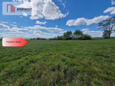 Łąki w cichej okolicy Okazyjna cena - Dąbrówka  -
Kujawsko-Pomorskie Zdjęcie nr 2