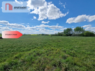 Łąki w cichej okolicy Okazyjna cena - Dąbrówka  -
Kujawsko-Pomorskie Zdjęcie nr 3