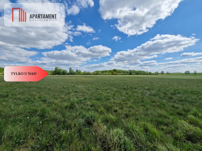 Łąki w cichej okolicy Okazyjna cena - Dąbrówka  -
Kujawsko-Pomorskie Zdjęcie nr 4