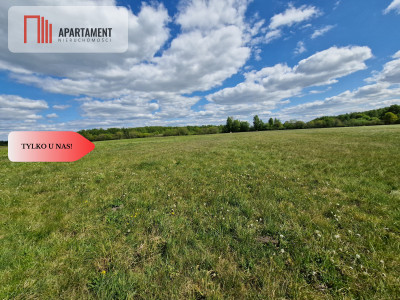 Łąki w cichej okolicy Okazyjna cena - Dąbrówka  -
Kujawsko-Pomorskie Zdjęcie nr 7