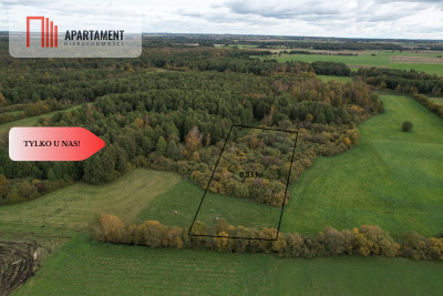 Duża działka w niskiej cenie - Dąbrówka  -
Kujawsko-Pomorskie Zdjęcie nr 10