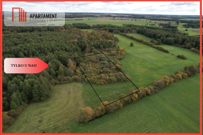 Duża działka w niskiej cenie Do negocjacji - Dąbrówka  - Kujawsko-Pomorskie