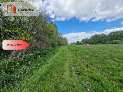 Duża działka w niskiej cenie - Dąbrówka  -
Kujawsko-Pomorskie Zdjęcie nr 2