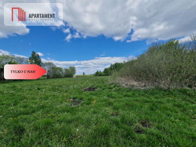 Duża działka w niskiej cenie - Dąbrówka  -
Kujawsko-Pomorskie Zdjęcie nr 3