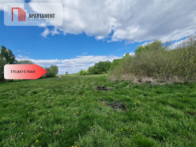 Duża działka w niskiej cenie - Dąbrówka  -
Kujawsko-Pomorskie Zdjęcie nr 4