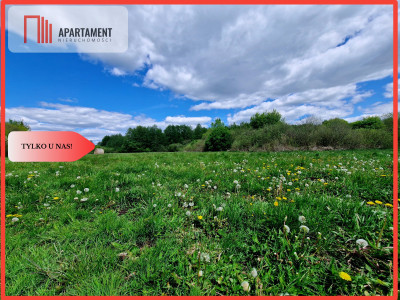 Duża działka w niskiej cenie - Dąbrówka  -
Kujawsko-Pomorskie Zdjęcie nr 5