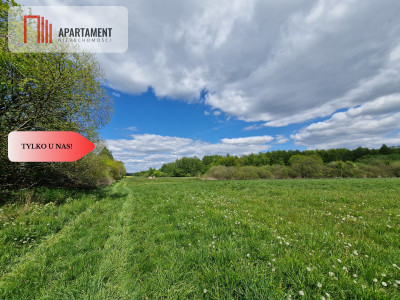 Duża działka w niskiej cenie - Dąbrówka  -
Kujawsko-Pomorskie Zdjęcie nr 6