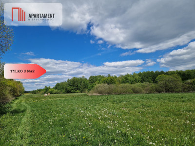 Duża działka w niskiej cenie - Dąbrówka  -
Kujawsko-Pomorskie Zdjęcie nr 7