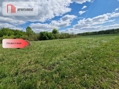 Duża działka w niskiej cenie - Dąbrówka  -
Kujawsko-Pomorskie Zdjęcie nr 8