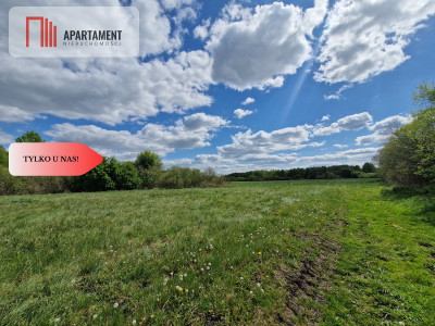 Duża działka w niskiej cenie - Dąbrówka  -
Kujawsko-Pomorskie Zdjęcie nr 9