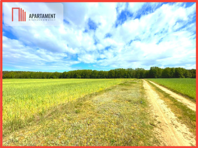 Nekla pod usługi przemysł magazyn - Nekla  - Kujawsko-Pomorskie