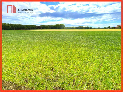 Nekla pod usługi przemysł magazyn - Nekla  -
Kujawsko-Pomorskie Zdjęcie nr 2