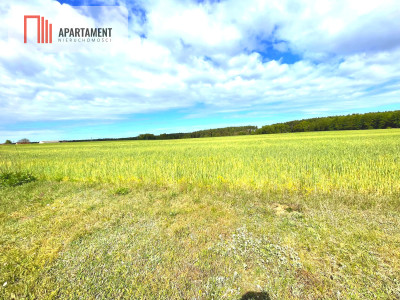 Nekla pod usługi przemysł magazyn - Nekla  -
Kujawsko-Pomorskie Zdjęcie nr 5