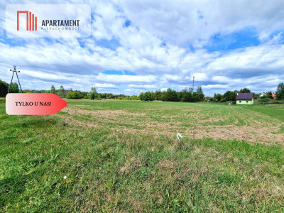 Działka w Tleniu idealna pod domki na wynajem - Tleń  -
Kujawsko-Pomorskie Zdjęcie nr 3