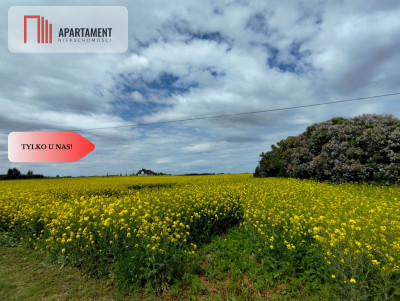 Tylko u Nas Działka budowlana w super cenie - Buszkowo  -
Kujawsko-Pomorskie Zdjęcie nr 5