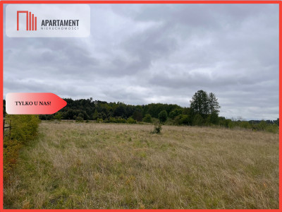 Działka 1000m2 z WZ - Nowe Dąbie  - Kujawsko-Pomorskie