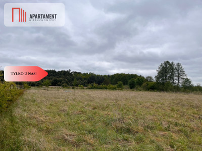 Działka 1000m2 z WZ - Nowe Dąbie  -
Kujawsko-Pomorskie Zdjęcie nr 2