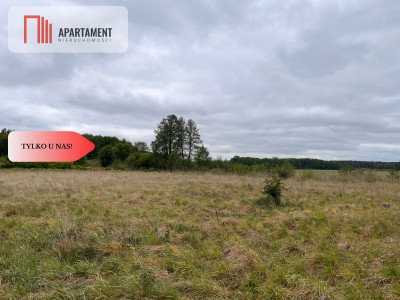 Działka 1000m2 z WZ - Nowe Dąbie  -
Kujawsko-Pomorskie Zdjęcie nr 3