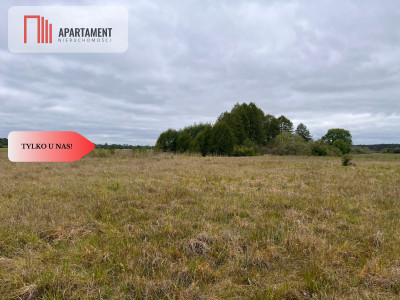 Działka 1000m2 z WZ - Nowe Dąbie  -
Kujawsko-Pomorskie Zdjęcie nr 5