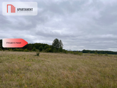 Działka 1000m2 z WZ - Nowe Dąbie  -
Kujawsko-Pomorskie Zdjęcie nr 6