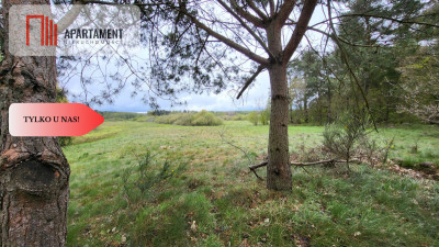 Łąki w Staniewicach - Staniewice  - Zachodniopomorskie