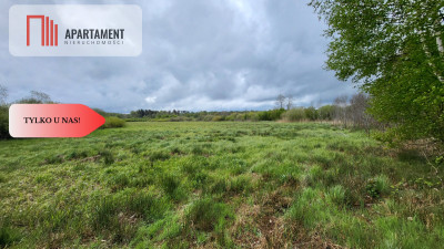 Łąki w Staniewicach - Staniewice  -
Zachodniopomorskie Zdjęcie nr 2