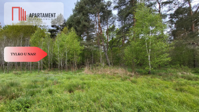 Łąki w Staniewicach - Staniewice  -
Zachodniopomorskie Zdjęcie nr 3