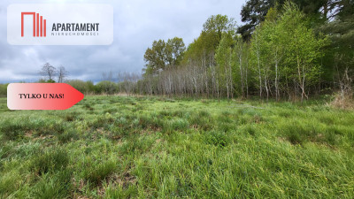 Łąki w Staniewicach - Staniewice  -
Zachodniopomorskie Zdjęcie nr 4