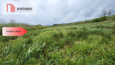 Łąki w Staniewicach - Staniewice  -
Zachodniopomorskie Zdjęcie nr 5